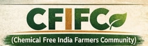 CFIFC Logo